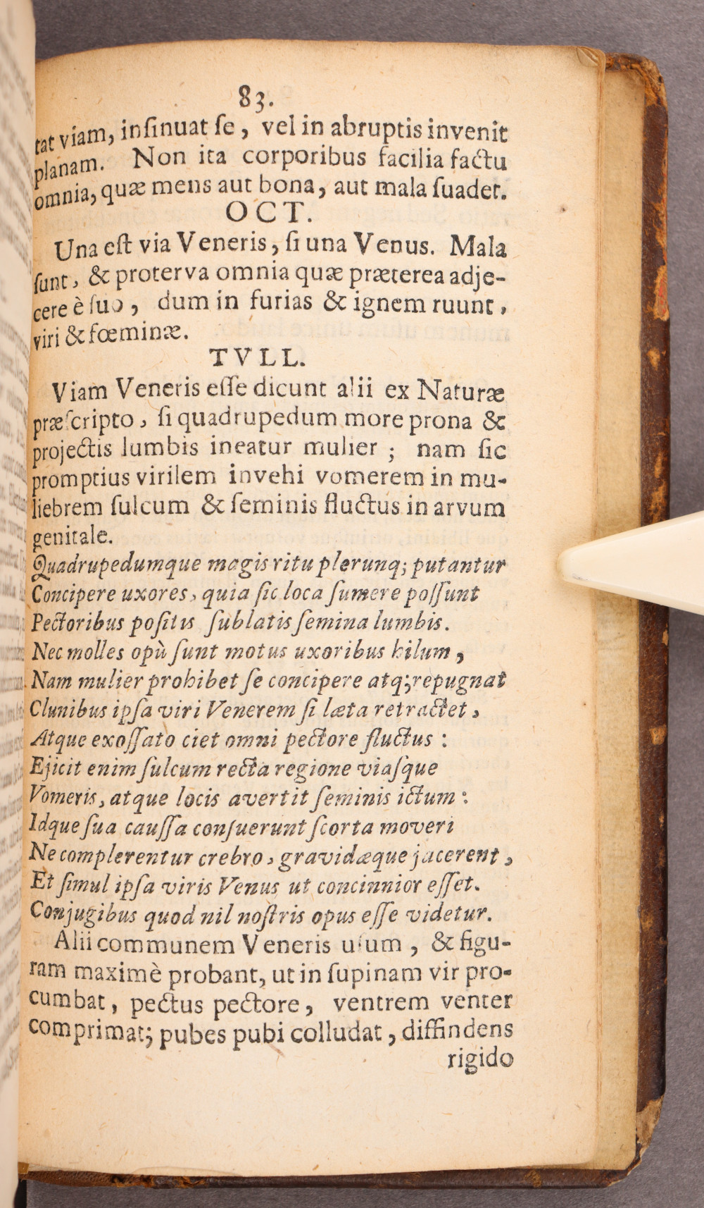 Page 83